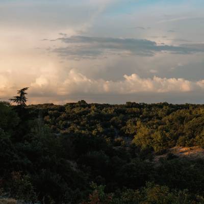 El Olivar Ruta El Garduño