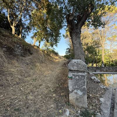 Ruta El Garduño El Olivar Guadalajara