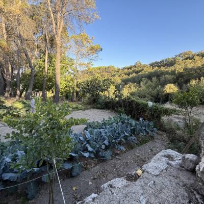 Ruta El Garduño El Olivar