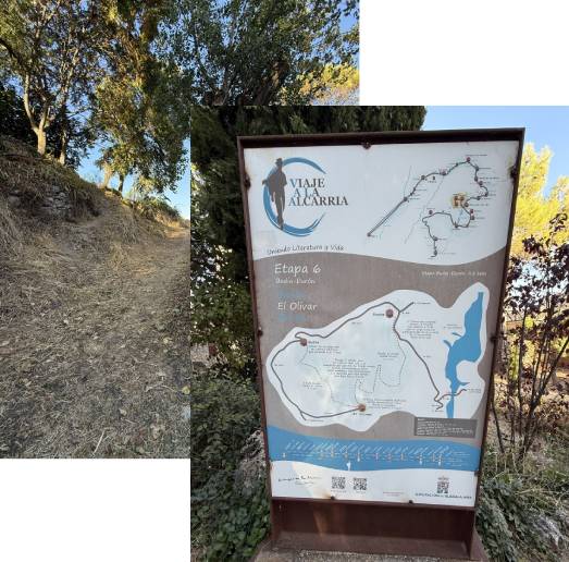 Ruta Viaje a La Alcarria El Olivar Guadalajara